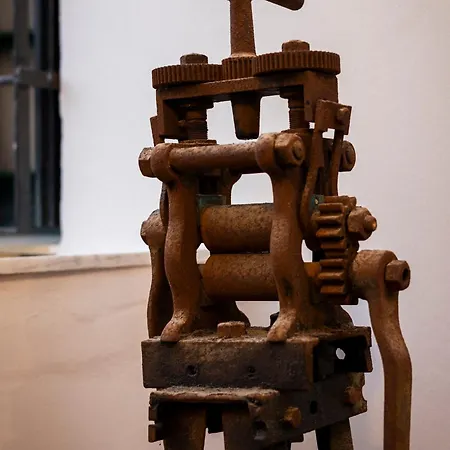 Sundial 干尼亞